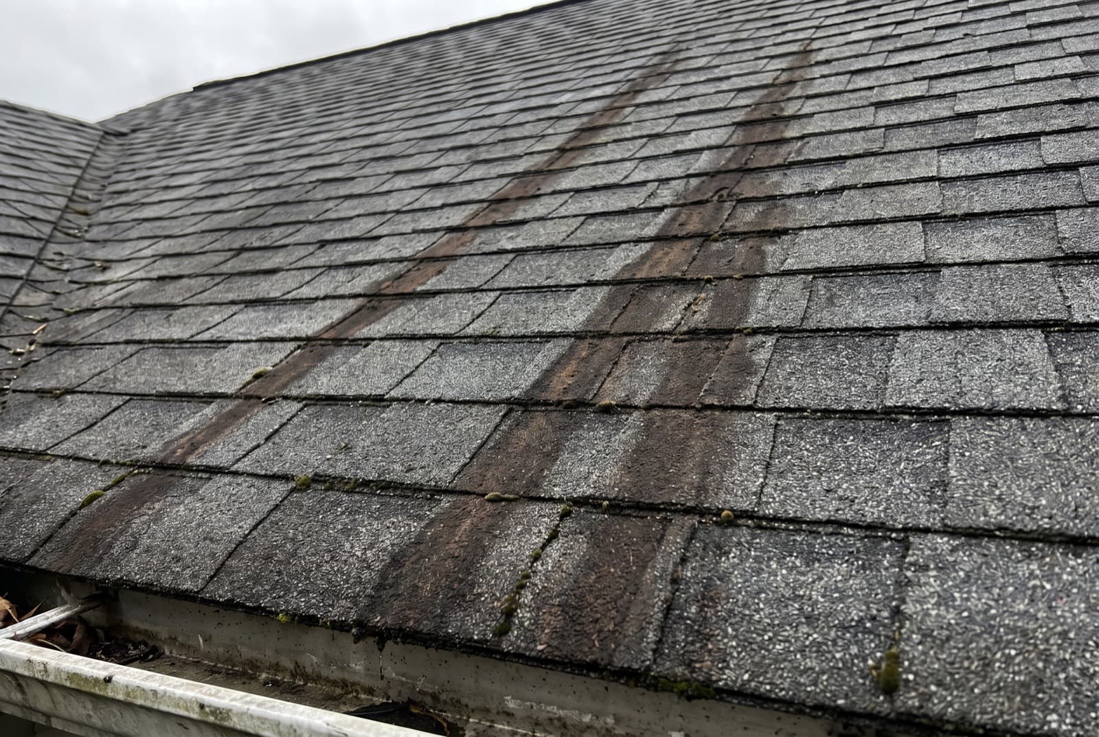 Algae-streaked roof before cleaning